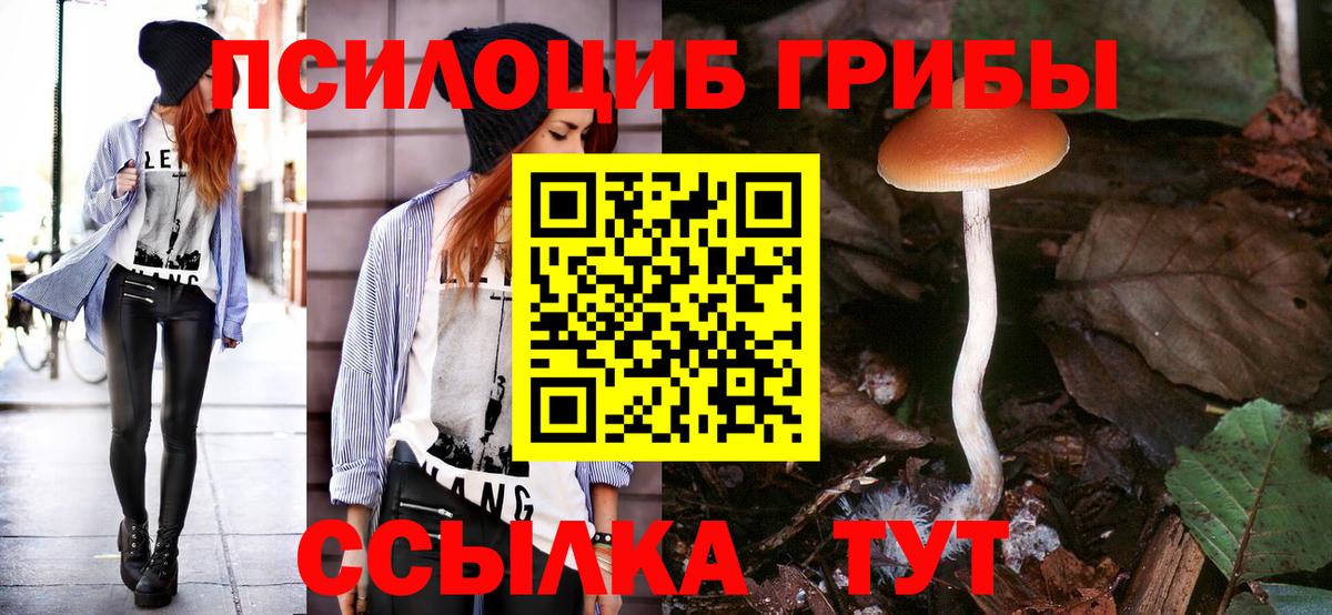 Галлюциногенные грибы Magic Shrooms  Псилоцибиновые грибы GOLDEN TEACHER  Вход с VPN  Мценск 