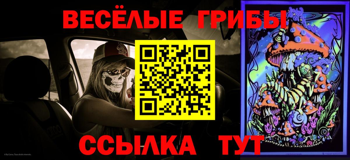 Псилоцибиновые грибы мицелий Мценск