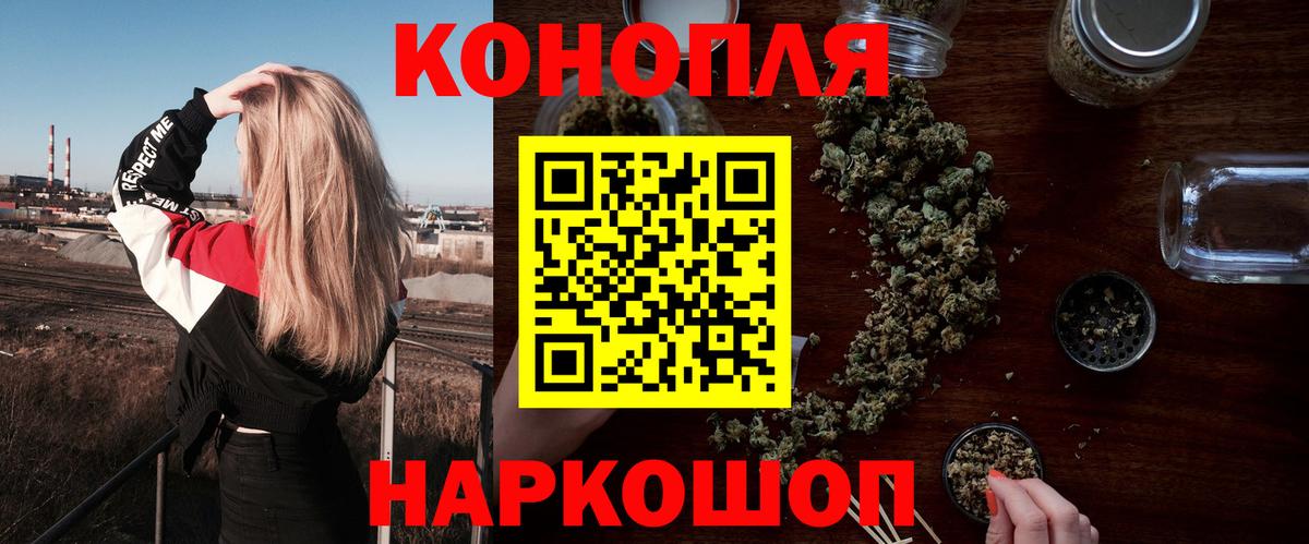 Мценск  Бошки Шишки конопля  Конопля Ganja  Конопля конопля  Вход с VPN 